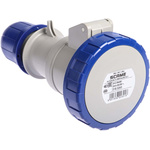 Scame IP66, IP67 Blue Cable Mount 2P + E Industrial Power Socket, Rated At 32A, 230 V