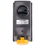 Scame IP67 Yellow Panel Mount 2P + E Right Angle Industrial Power Socket, Rated At 16A, 110 V