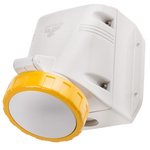 Scame IP66, IP67 Yellow Wall Mount 2P + E Industrial Power Socket, Rated At 32A, 110 V