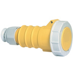 Bals IP67 Yellow Cable Mount 2P + E Industrial Power Socket, Rated At 32A, 110 V