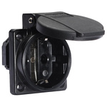 Bals IP54 Black Panel Mount 2P + E Industrial Power Socket, Rated At 16A, 250 V