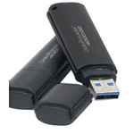 Kingston 8 GB DT4000G2DM140-2 Level 3 USB Stick
