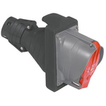 Legrand IP44, IP55 3P + E Socket Socket, Rated At 63A, 380 → 415 V