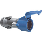 Legrand, Hypra IP44 Blue 3P+E Industrial Power Socket, Rated At 16A, 250 V No