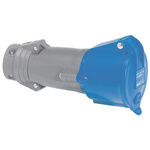 Legrand, Hypra IP44 Blue 3P+E Industrial Power Socket, Rated At 32A, 250 V No