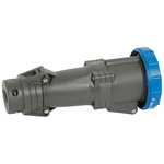 Legrand, Hypra IP67 Blue 2P+E Industrial Power Socket, Rated At 63A, 250 V No