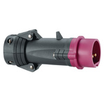Legrand, Hypra IP44 Purple 2P Industrial Power Plug, Rated At 16A, 20 → 25 V No
