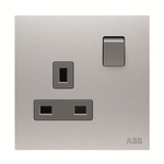 ABB Silver Electrical Socket, 2 Poles, 13A