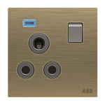 ABB Gold Electrical Socket, 2 Poles, 15A