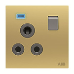 ABB Gold Electrical Socket, 2 Poles, 15A