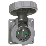 Legrand Grey 1 Gang Power Socket, 2 Poles, 16A