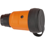 brennenstuhl French Mains Plug & Socket, 16A, Cable Mount, 250 V