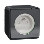 Grey 1 Gang Plug Socket, 2 Poles, 16A, French 2P, Indoor, Outdoor Use