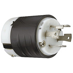 PASS & SEYMOUR USA Mains Plug, 30A, Cable Mount, 125/250 V
