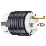 PASS & SEYMOUR USA Mains Plug, 15A, Cable Mount, 125 V