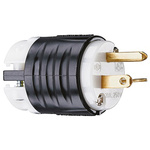 PASS & SEYMOUR USA Mains Plug, 20A, Cable Mount, 250 V