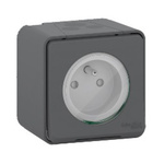 Schneider Electric Grey 1 Gang Plug Socket, 2P+E Poles, 16A, Type E - French, Outdoor Use