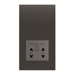 ABB Black 2 Gang Shaver Socket, 20A