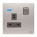 ABB Silver Electrical Socket, 2 Poles, 13A