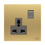 ABB Gold 1 Gang Plug Socket, 1 Pole, 13A, BS, Outdoor Use