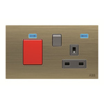 ABB Gold 1 Gang Plug Socket, 2 Poles, 13A, BS, Outdoor Use