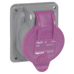 Legrand Purple Power Socket, 2 Poles, 16A, Indoor Use
