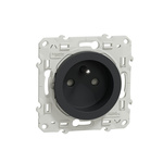Anthracite 1 Gang Plug Socket, 2 Poles, 16A, French 2P