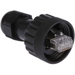 Brad from Molex 13005 Series Male RJ45 Connector, Cable Mount, Cat5e