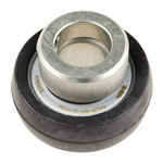 INA Bearing Inserts 20mm ID 52.3mm OD RABRB20/52-XL-FA106
