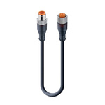 Lumberg Automation, RST Series, Straight Male to Straight Female Cordset, 5 Core 1.5m Cable