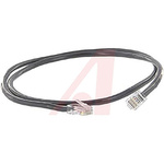 Cinch Connectors Black Cat5e Cable UTP, 4.27m Male RJ45/Male RJ45