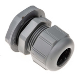 Legrand Grey Polyamide Cable Gland, PG16 Thread, 10mm Min, 14mm Max, IP68