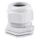 SIB SIB-TEC Series Grey PA 6 Cable Gland, PG36 Thread, 18mm Min, 32mm Max, IP68