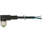 Murrelektronik Limited, 7000 Series, 90° Female M12 Industrial Automation Cable Assembly, 4 Core 1.5m Cable