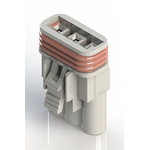 EDAC Wire to Wire Connector Cable Mount Socket, 3P, Crimp Termination, 10A, 300 V