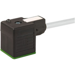 Murrelektronik Limited DIN 43650 Connector