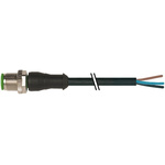 Murrelektronik Limited, 7000 Series, Straight Male M12 Industrial Automation Cable Assembly, 3 Core 3m Cable