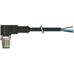 Murrelektronik Limited, 7000 Series, 90° Male M12 Industrial Automation Cable Assembly, 4 Core 1.5m Cable