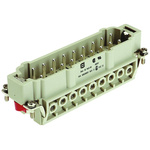 HARTING Heavy Duty Power Connector Insert, 16A, Male, Han Hv E Series, 16 Contacts