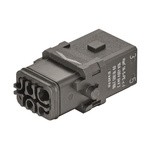 HARTING Heavy Duty Power Connector Insert, 10A, Female, Han 1A Series, 5 Contacts