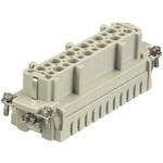 HARTING Heavy Duty Power Connector Insert, 16A, Female, Han E Series, 24 Contacts