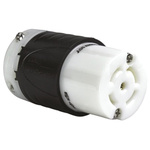 PASS & SEYMOUR USA Mains Plug & Socket NEMA L2120R, 30A, Cable Mount, 120/280 V ac