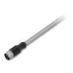 Wago 4 Core Power Cable, 4 x 0.75 mm², 2m, Grey, Power, 4 A, 250 V ac/dc