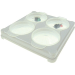 Licefa 4 Cell Transparent Plastic Compartment Box, 10mm x 75mm x 75mm