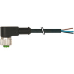 Murrelektronik Limited, 7000 Series, 90° Female M12 Industrial Automation Cable Assembly, 3 Core 1.5m Cable
