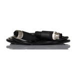 RS PRO Straight Female 5 way M12 to Straight Male 5 way M12 Sensor Actuator Cable, 2m