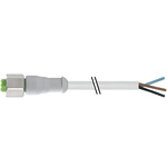 RS PRO Straight Female 3 way M12 to Unterminated Sensor Actuator Cable, 2m