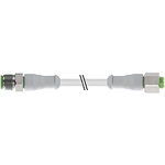 RS PRO Straight Female 3 way M12 to Straight Male 3 way M12 Sensor Actuator Cable, 2m