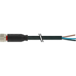 RS PRO Straight Female 3 way M8 to Unterminated Sensor Actuator Cable, 2m