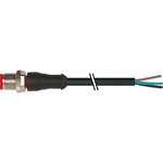 RS PRO Straight Male 5 way M12 to Unterminated Sensor Actuator Cable, 5m